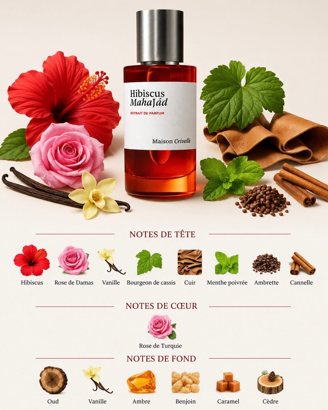 Maison Crivelli Hibiscus Mahajàd - Décantage