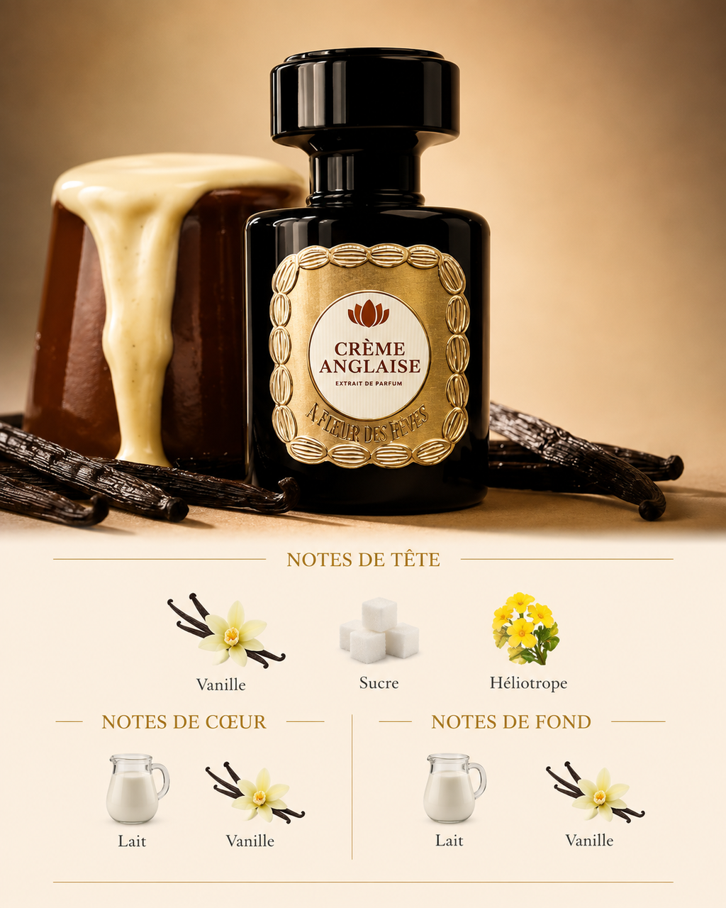 Crème Anglaise - L'Atelier des Fèves